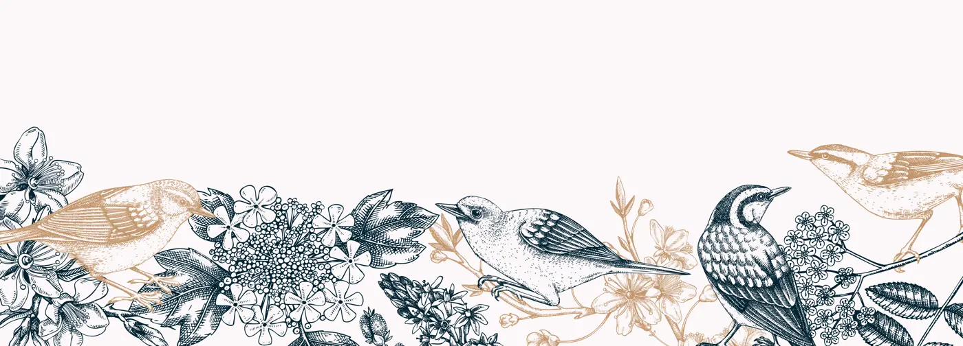 Spring garden banner template in sketched style. Vintage border with birds, flowers, and blooming branches. Almond, willow, rowan, willow, cherry blossom floral sketches for prints or web design Illustration